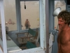 Lifeguard (75)
